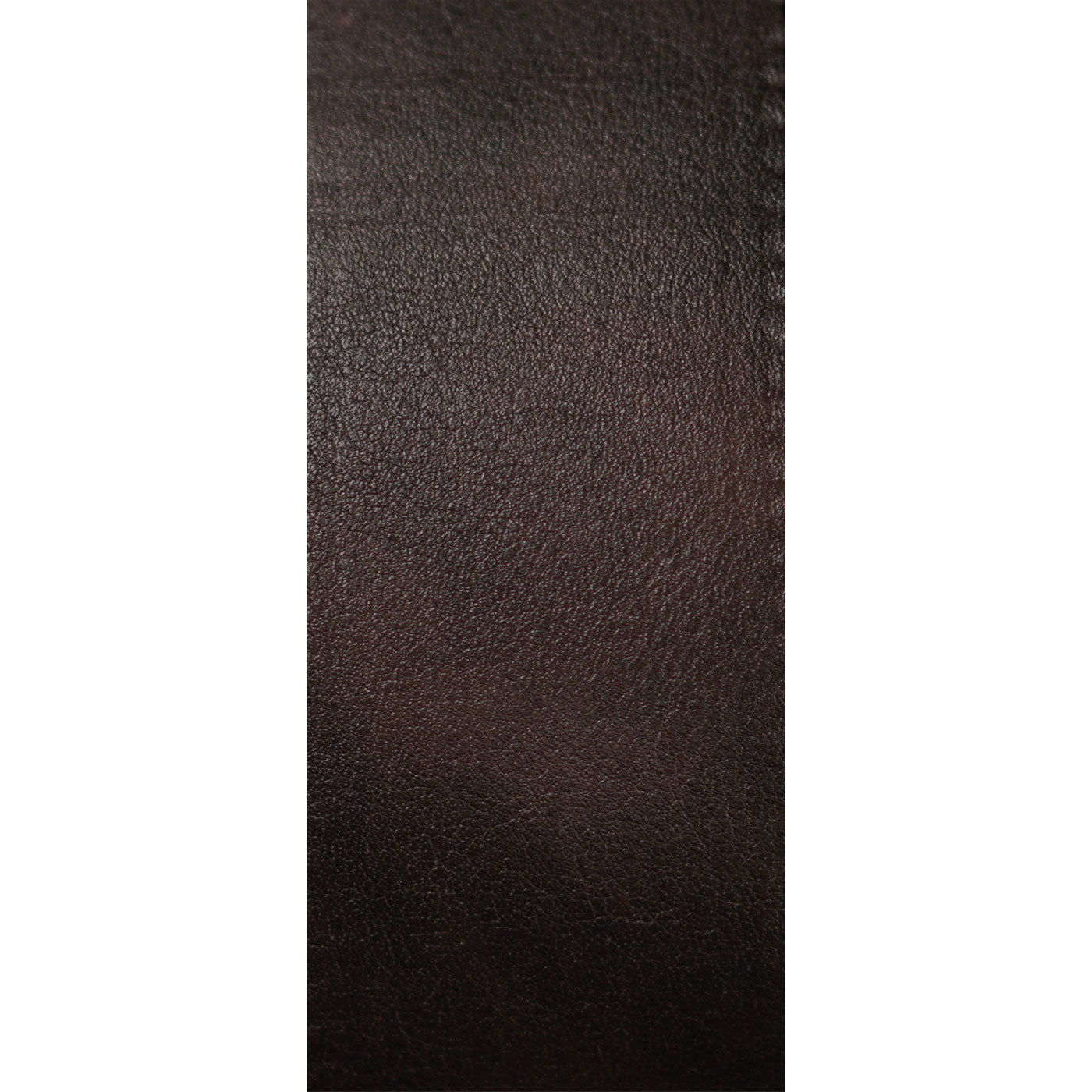 Sansula 9Ton Cover